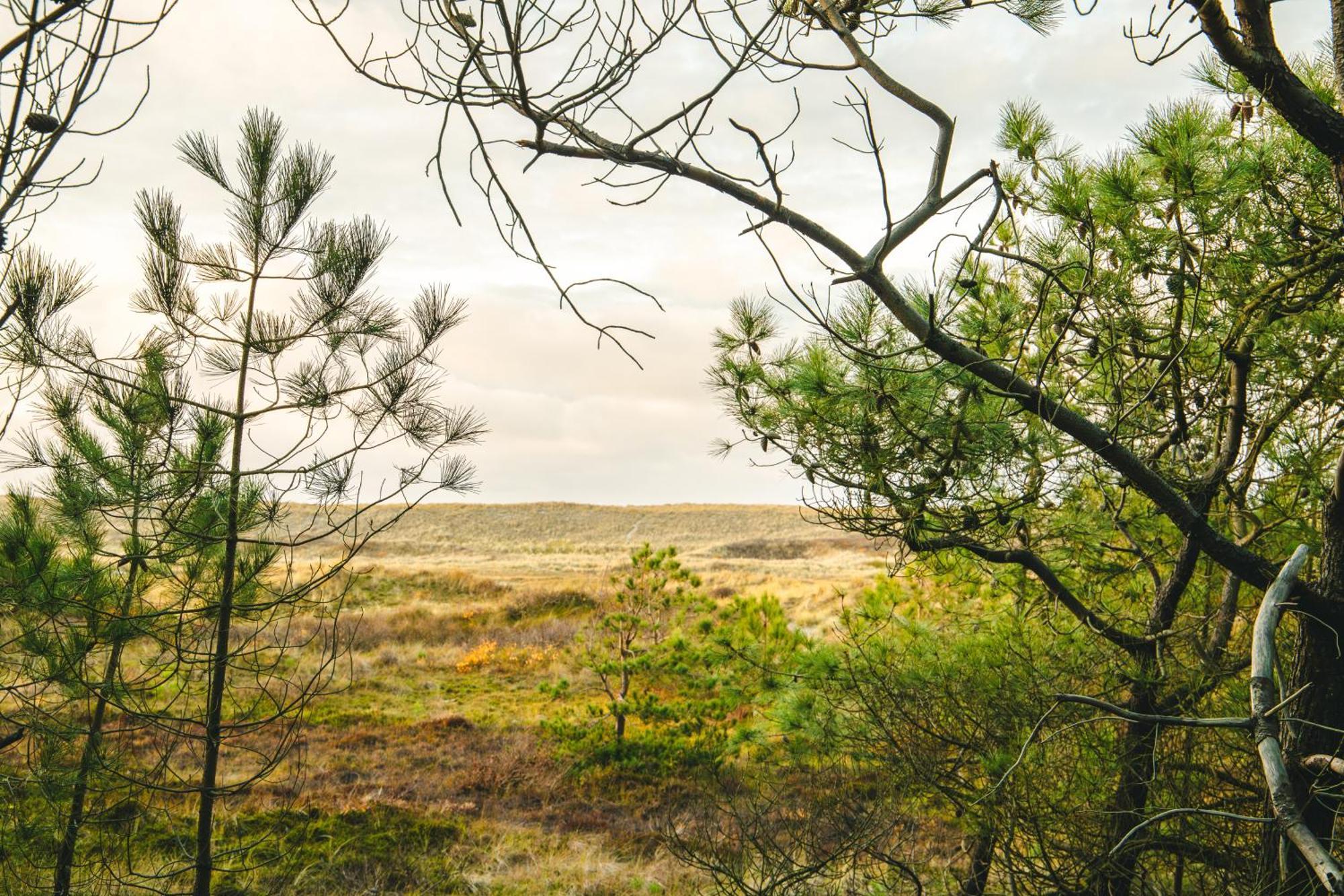 Donia Huys Ξενοδοχείο Vlieland Εξωτερικό φωτογραφία
